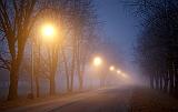 Foggy Lighted Laneway_01747-9